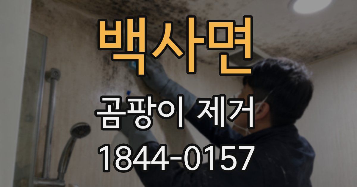 백사면 곰팡이 제거