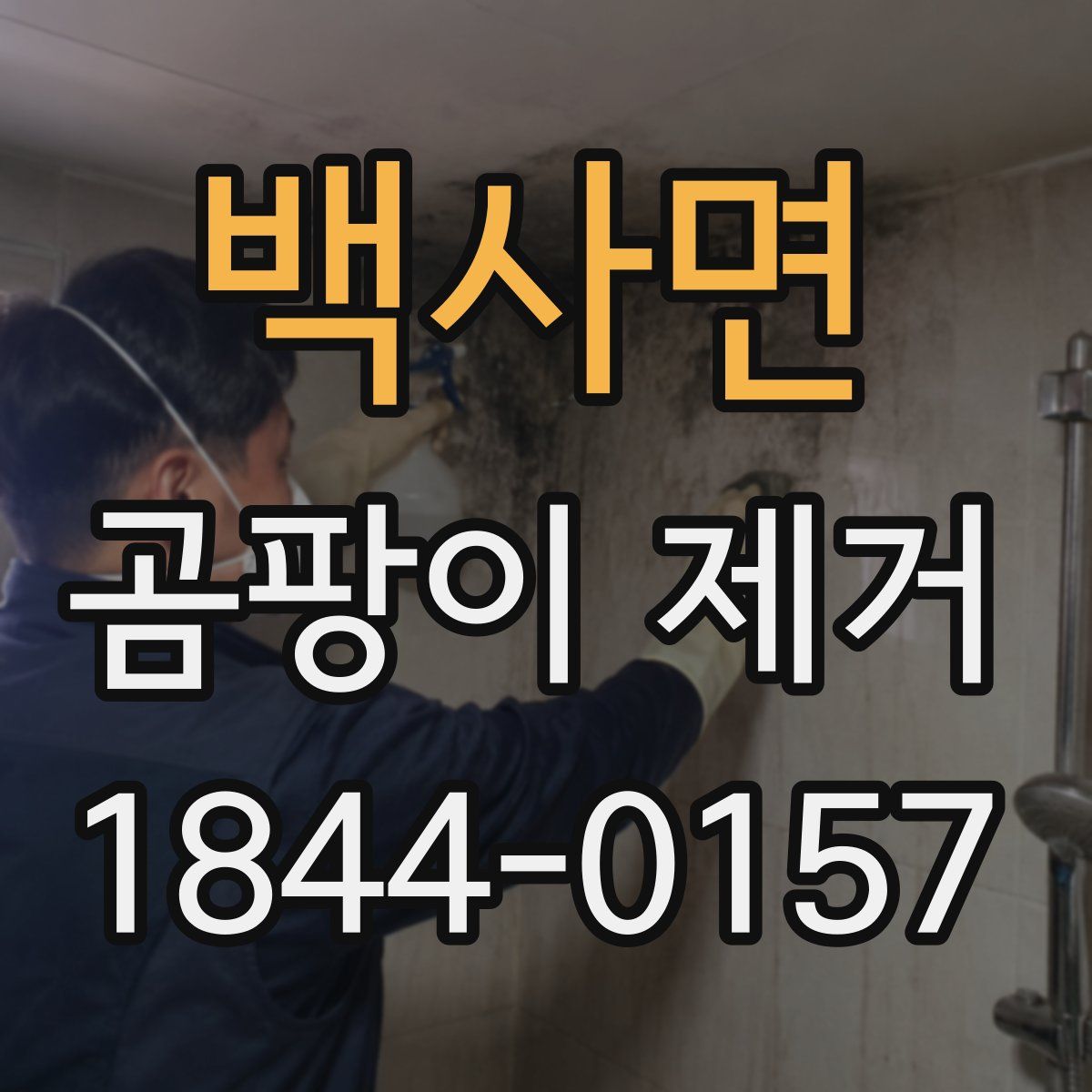 백사면 곰팡이 제거