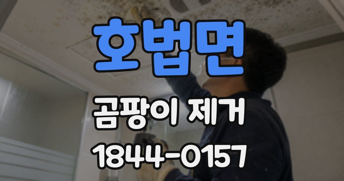 호법면 곰팡이 제거