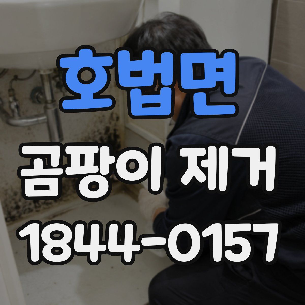 호법면 곰팡이 제거