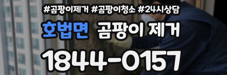 호법면 곰팡이 제거