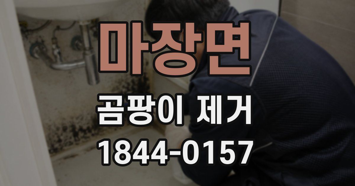 마장면 곰팡이 제거