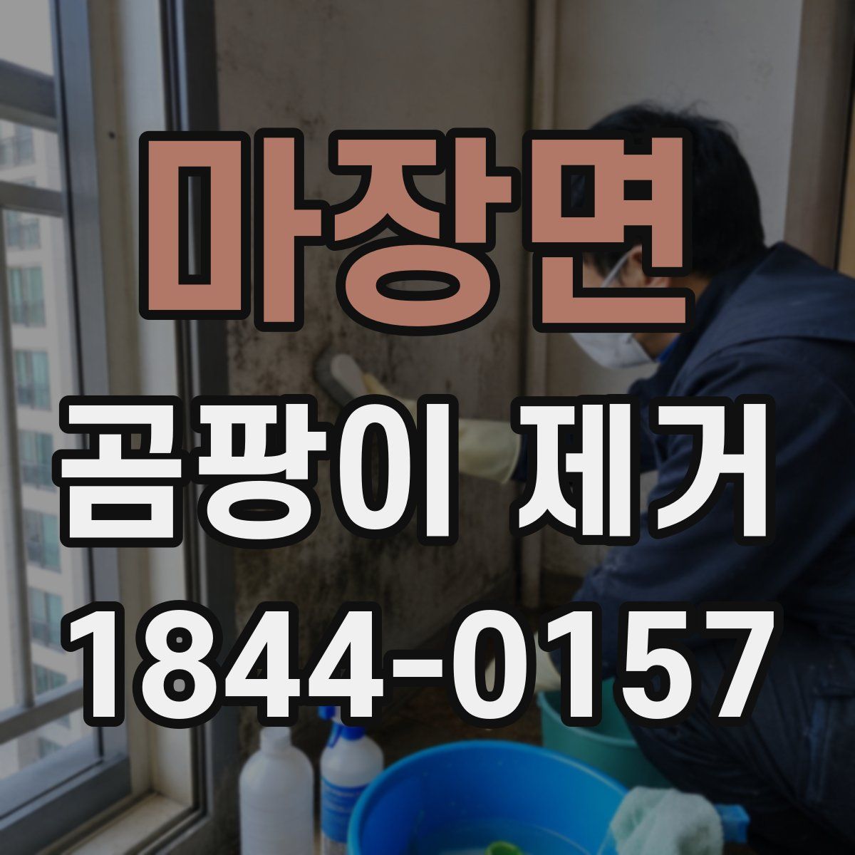 마장면 곰팡이 제거