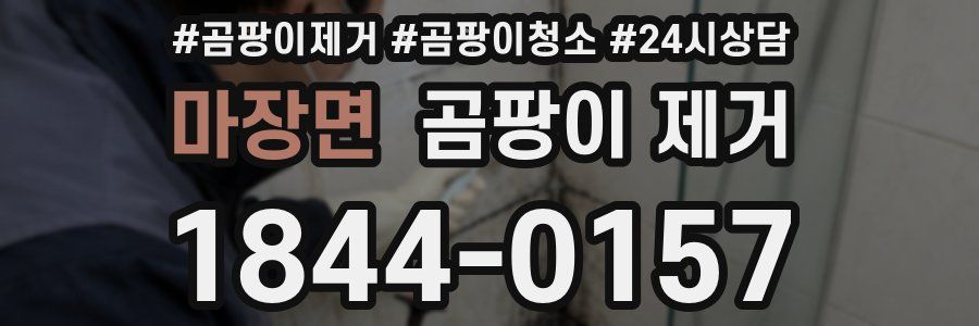 마장면 곰팡이 제거