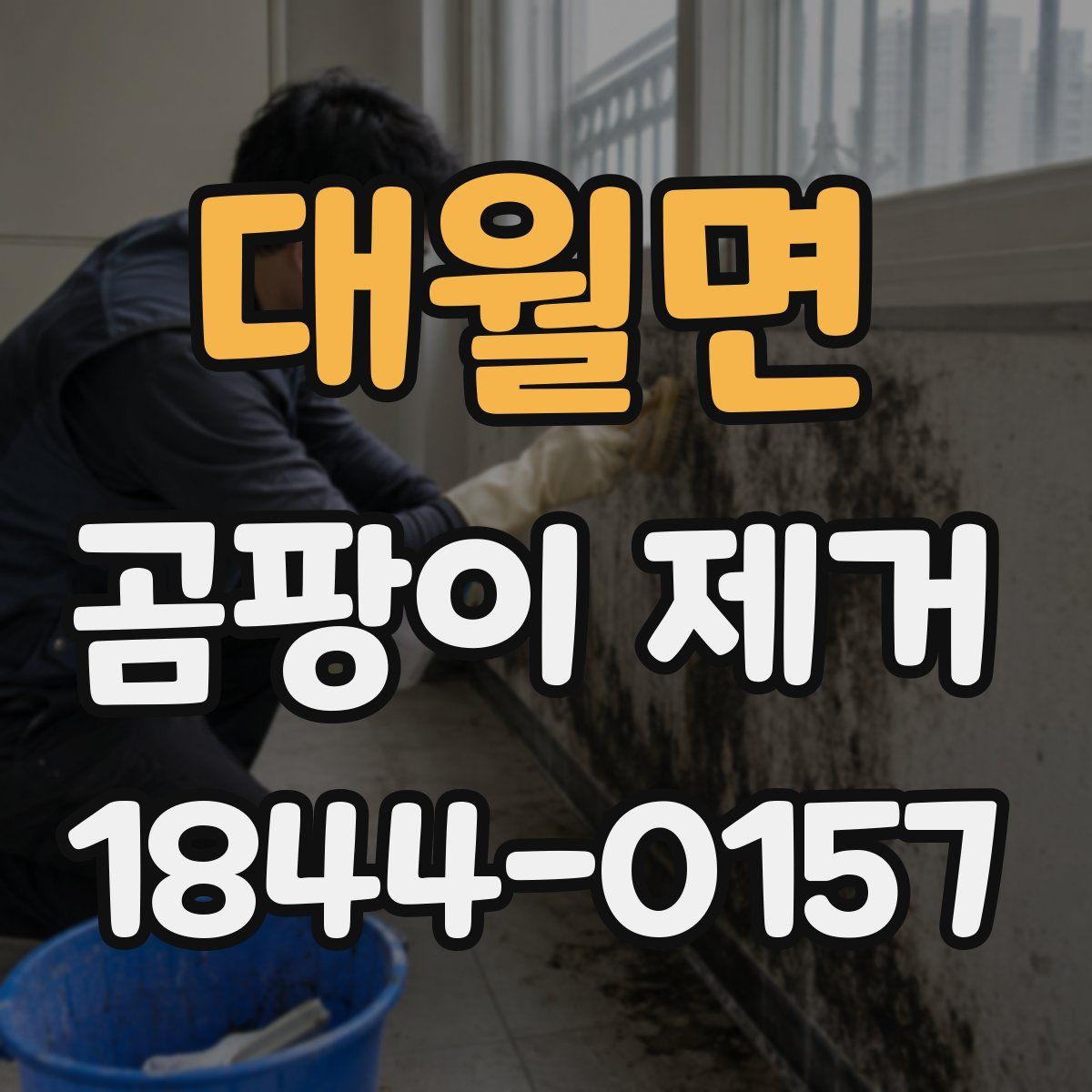 대월면 곰팡이 제거