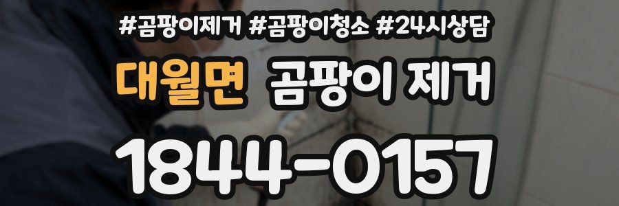 대월면 곰팡이 제거