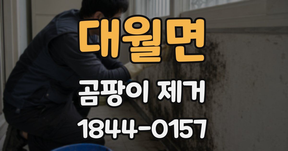 대월면 곰팡이 제거