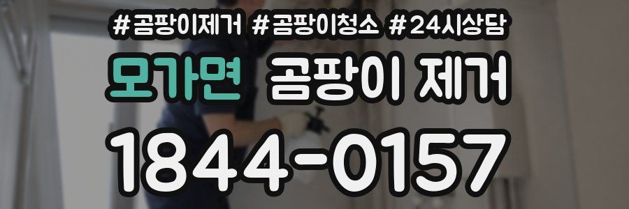 모가면 곰팡이 제거