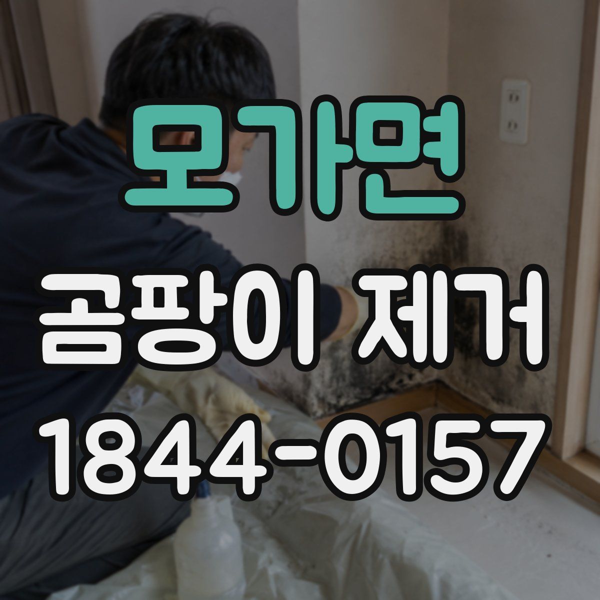 모가면 곰팡이 제거