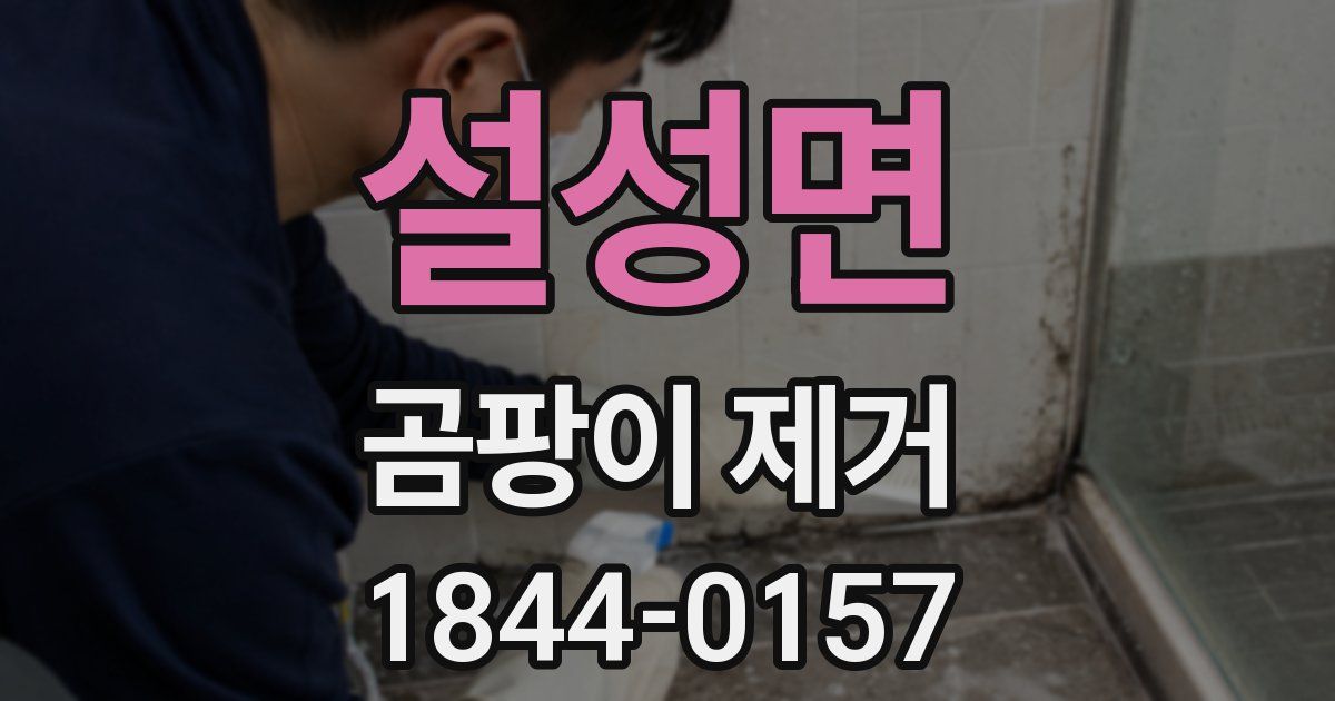 설성면 곰팡이 제거