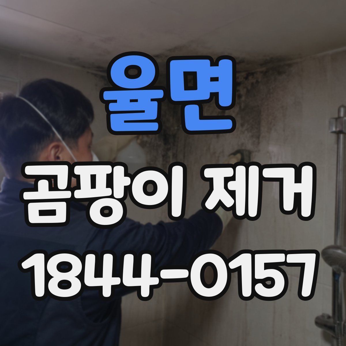 율면 곰팡이 제거