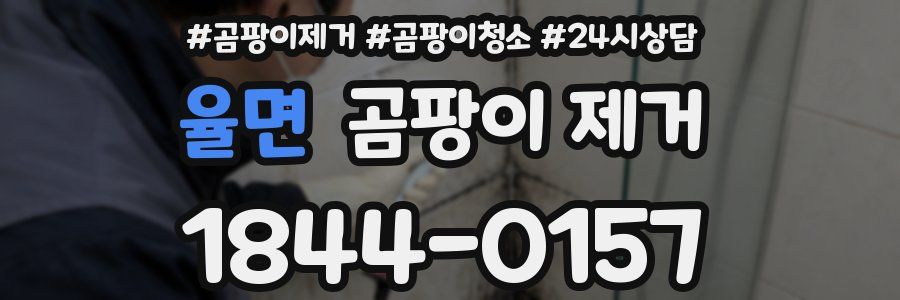 율면 곰팡이 제거