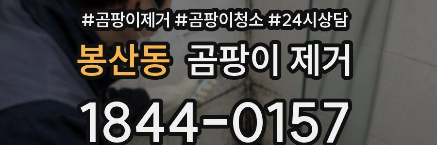 봉산동 곰팡이 제거