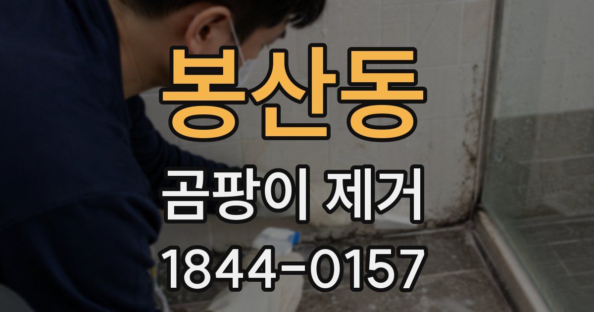 봉산동 곰팡이 제거