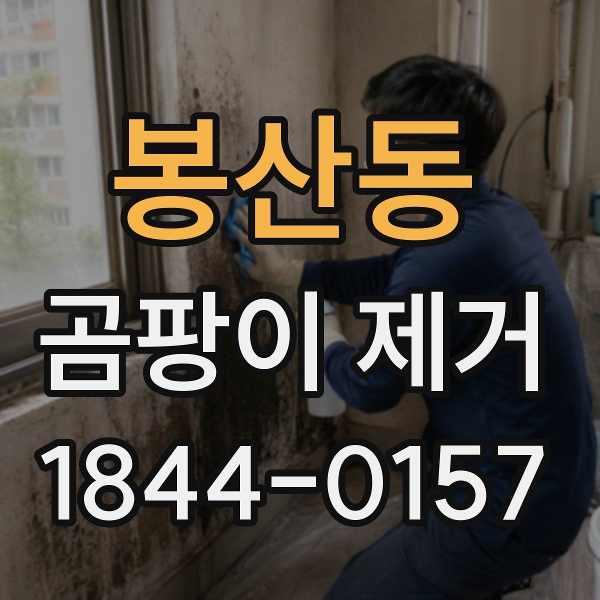 봉산동 곰팡이 제거
