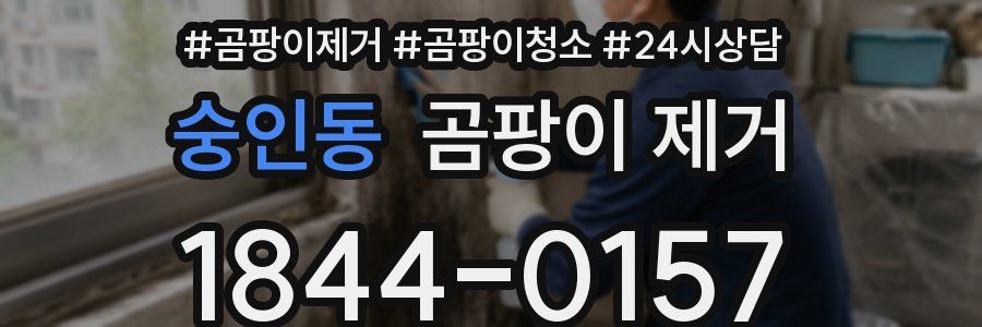 숭인동 곰팡이 제거