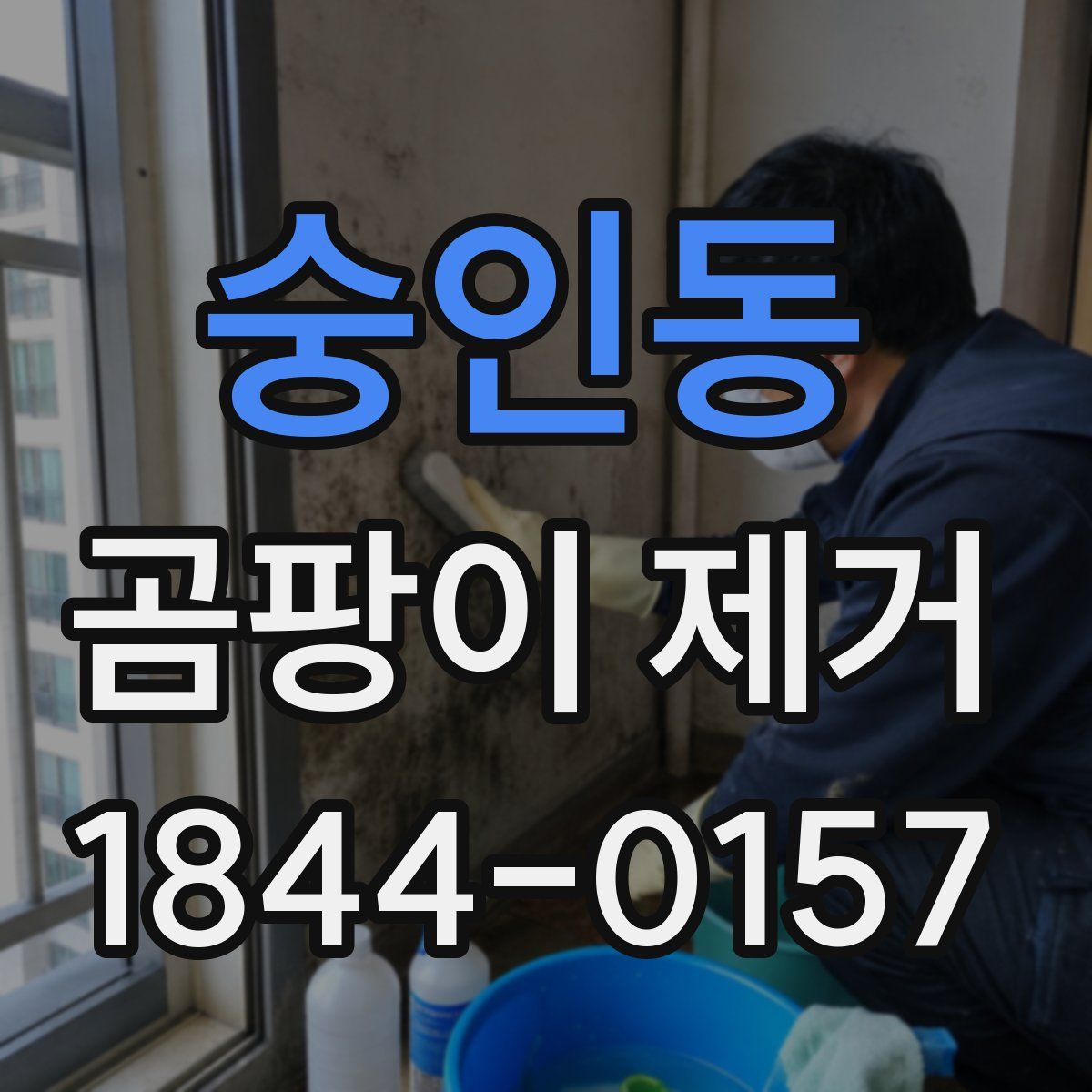 숭인동 곰팡이 제거