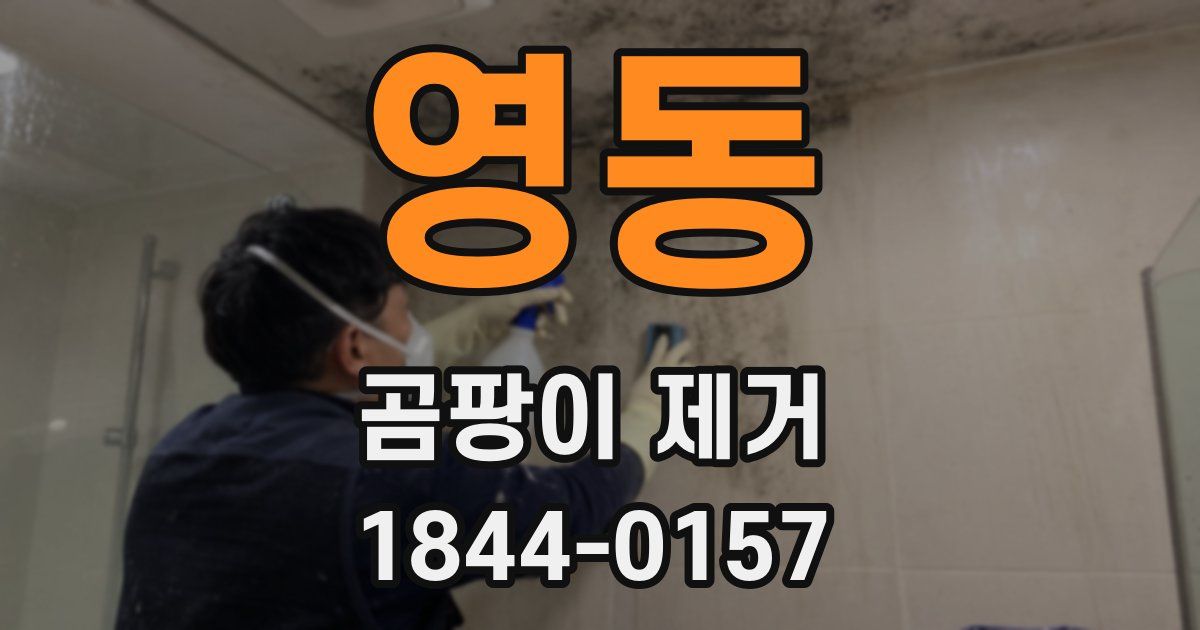 영동 곰팡이 제거