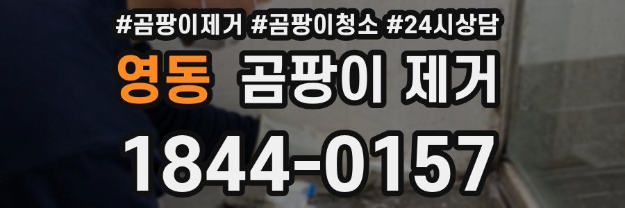 영동 곰팡이 제거