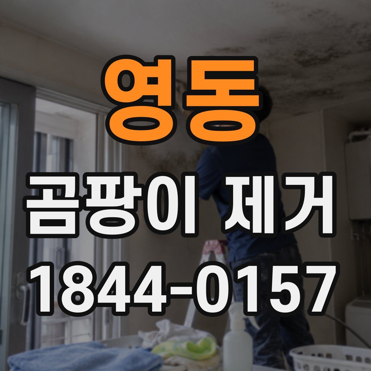 영동 곰팡이 제거