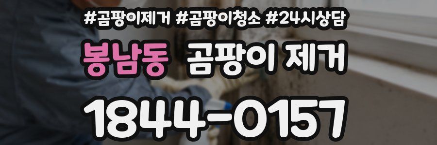 봉남동 곰팡이 제거