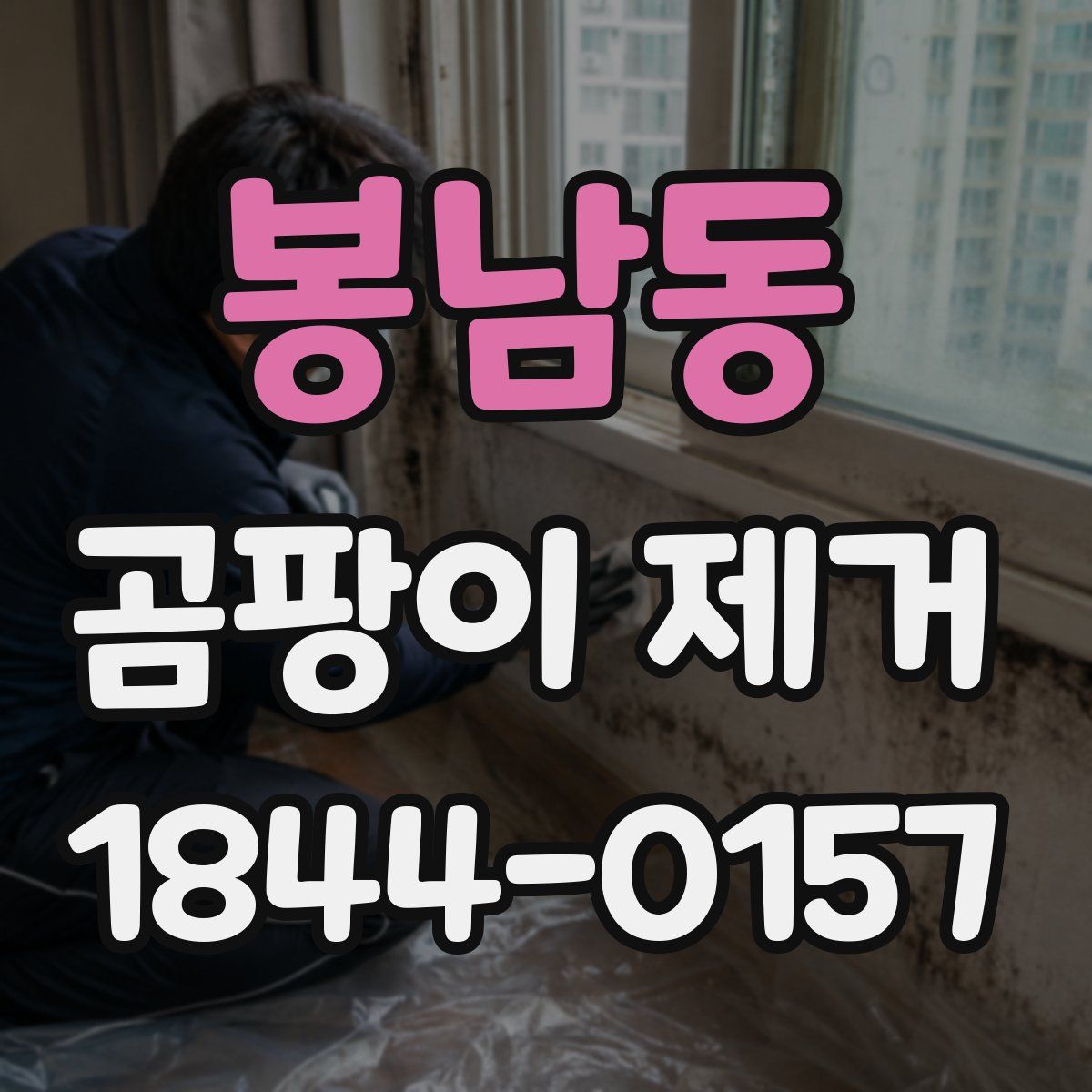 봉남동 곰팡이 제거