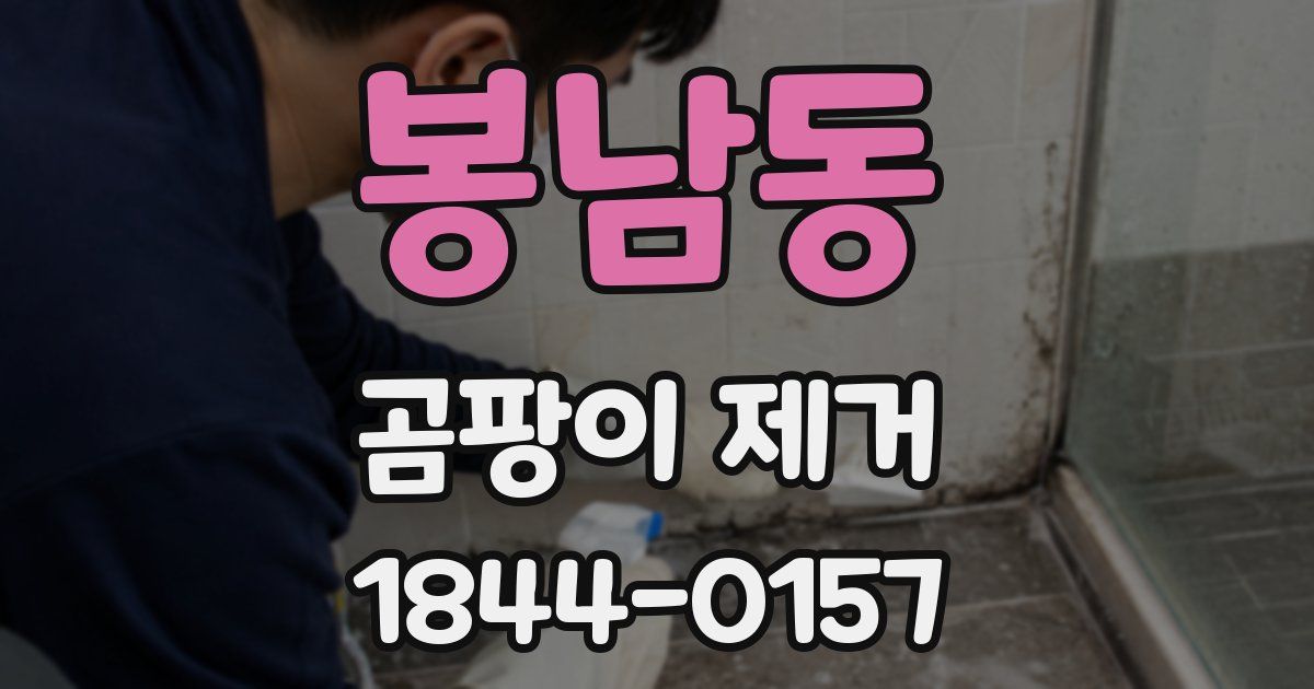 봉남동 곰팡이 제거