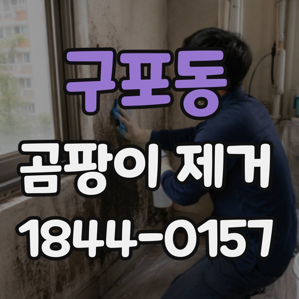 구포동 곰팡이 제거