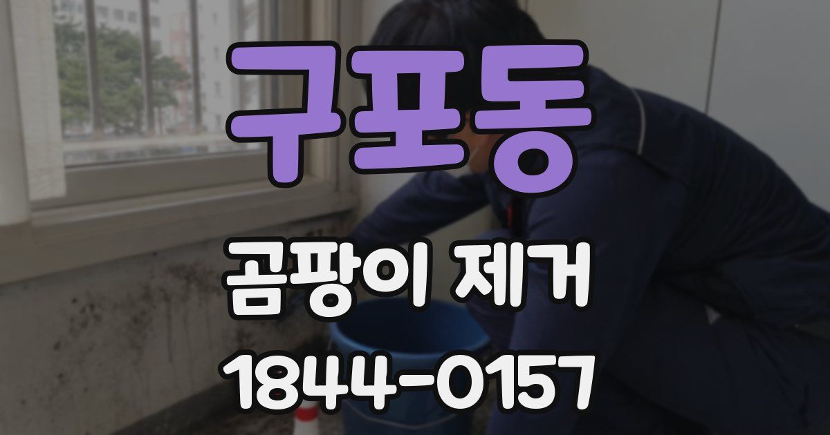 구포동 곰팡이 제거