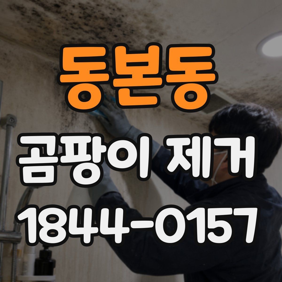 동본동 곰팡이 제거 천장과 벽면을 함께 관리하는 기준
