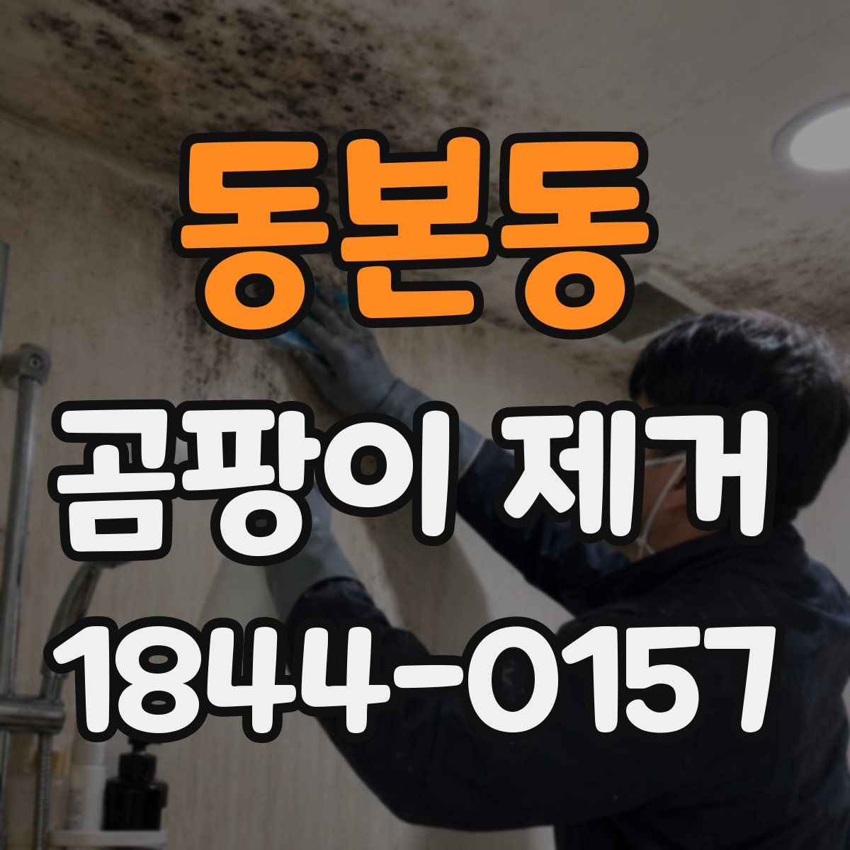 동본동 곰팡이 제거