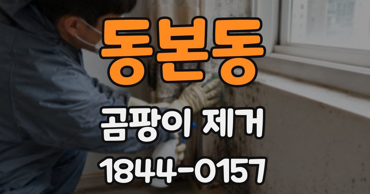 동본동 곰팡이 제거