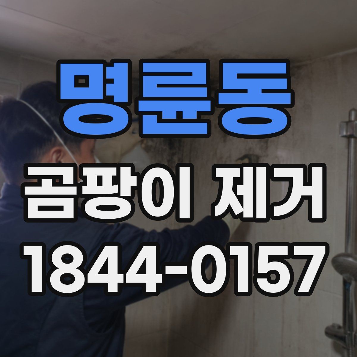 명륜동 곰팡이 제거 도배 전 손상 구간을 구분하는 방법