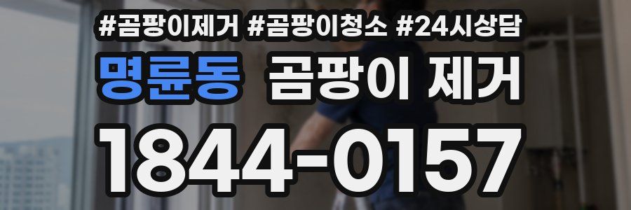 명륜동 곰팡이 제거