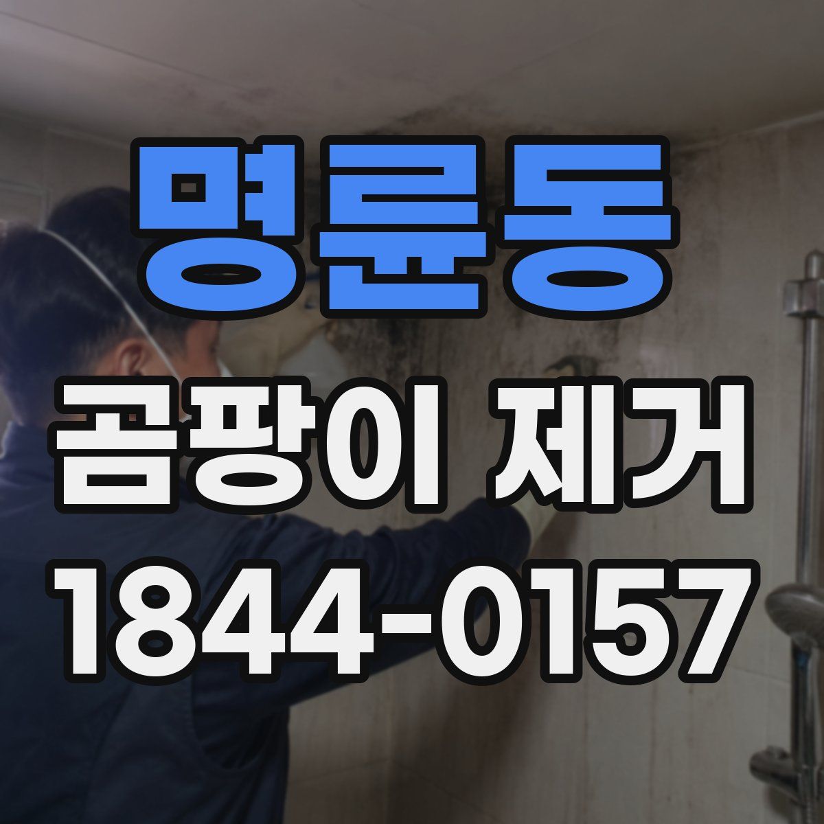 명륜동 곰팡이 제거