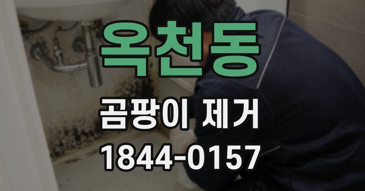옥천동 곰팡이 제거