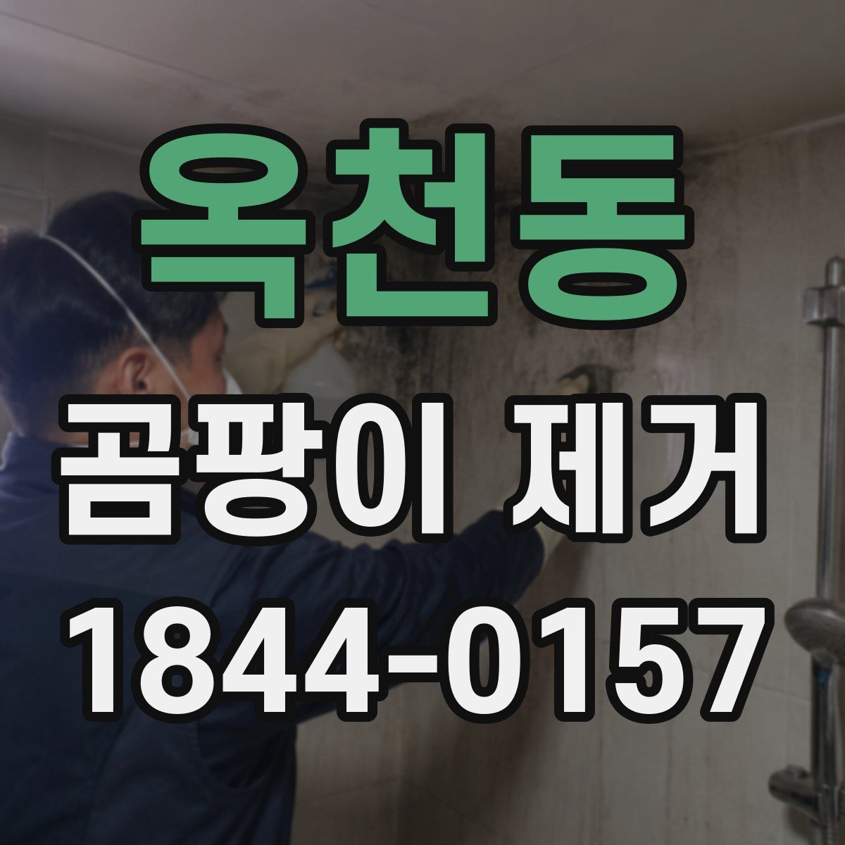 옥천동 곰팡이 제거