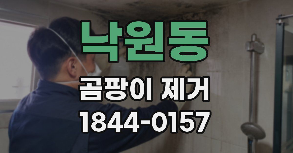 낙원동 곰팡이 제거