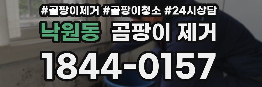 낙원동 곰팡이 제거