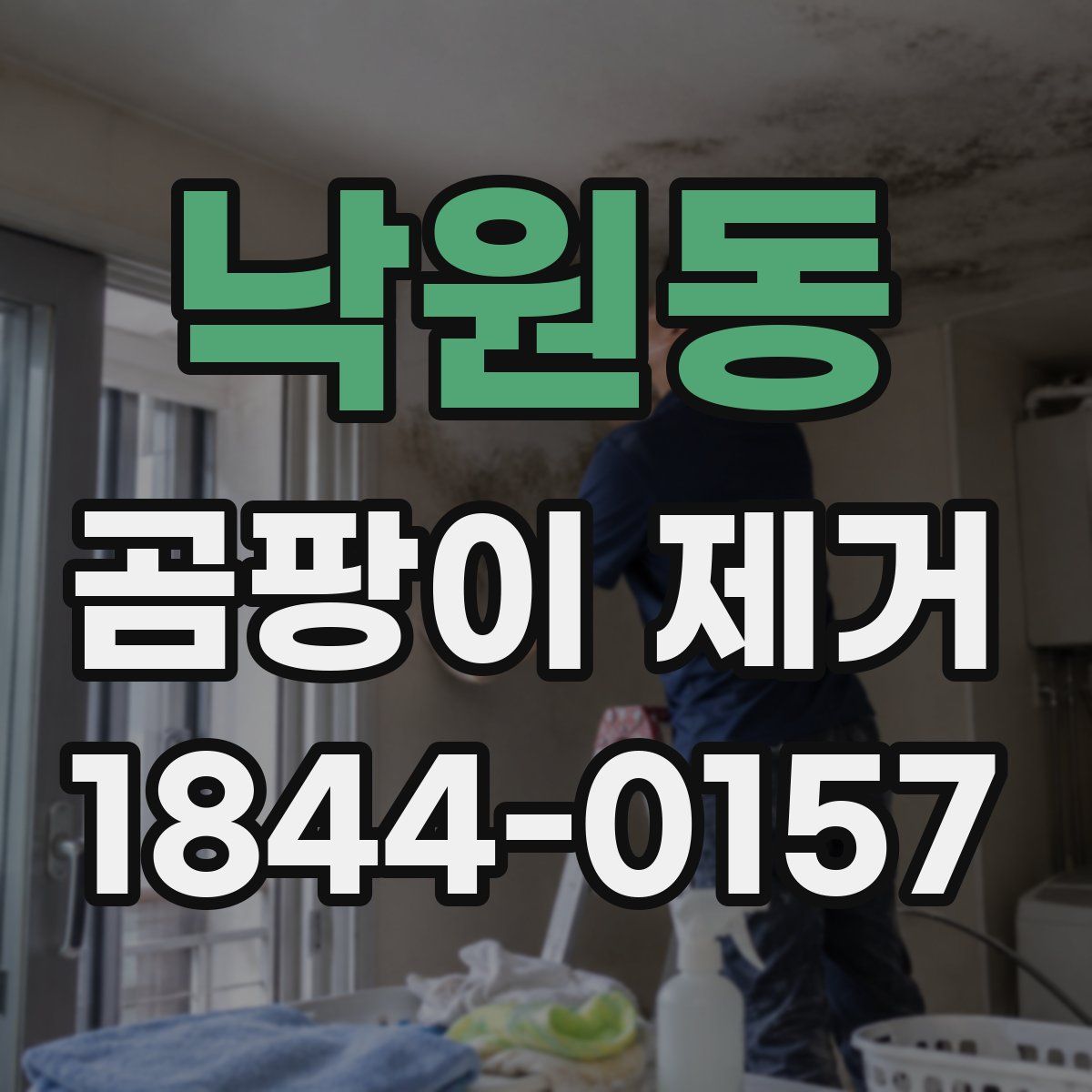 낙원동 곰팡이 제거