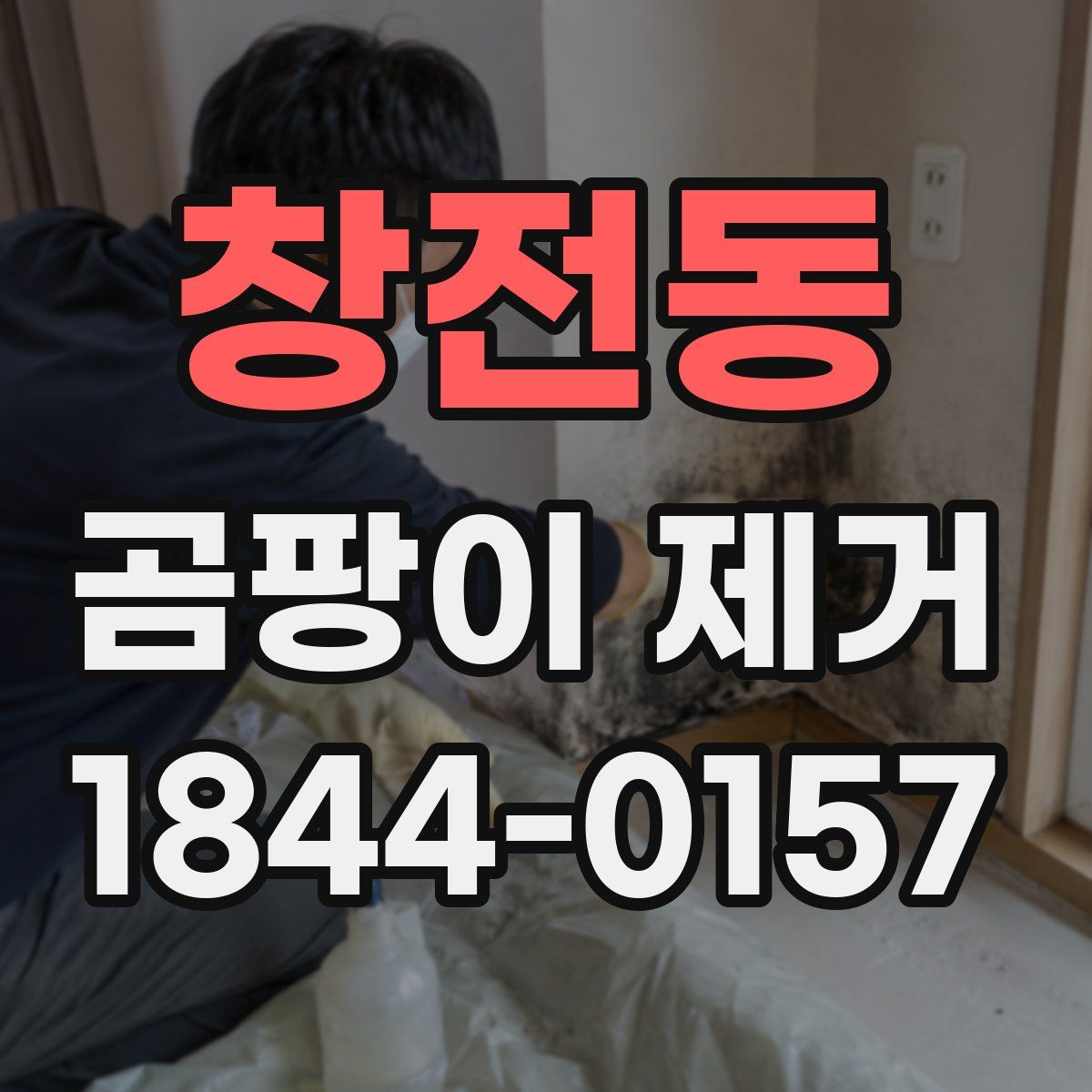 창전동 곰팡이 제거