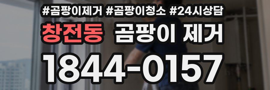 창전동 곰팡이 제거