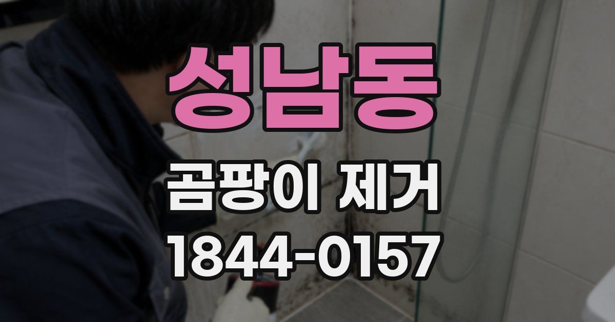 성남동 곰팡이 제거