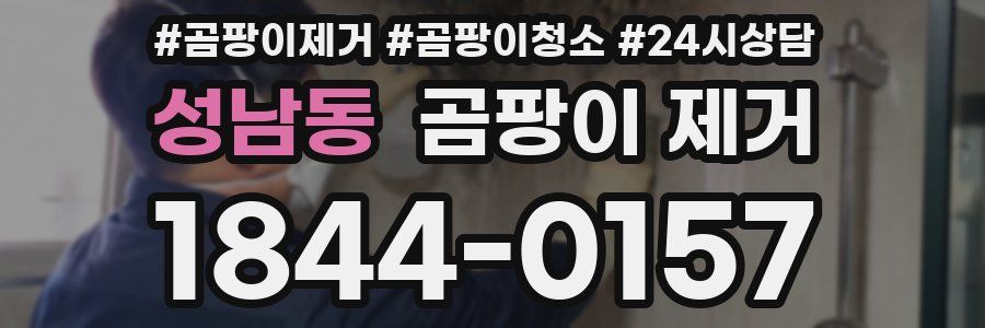 성남동 곰팡이 제거