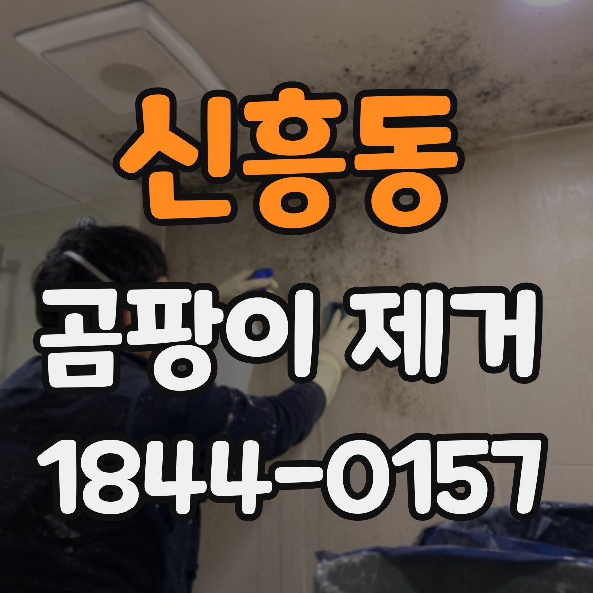 신흥동 곰팡이 제거