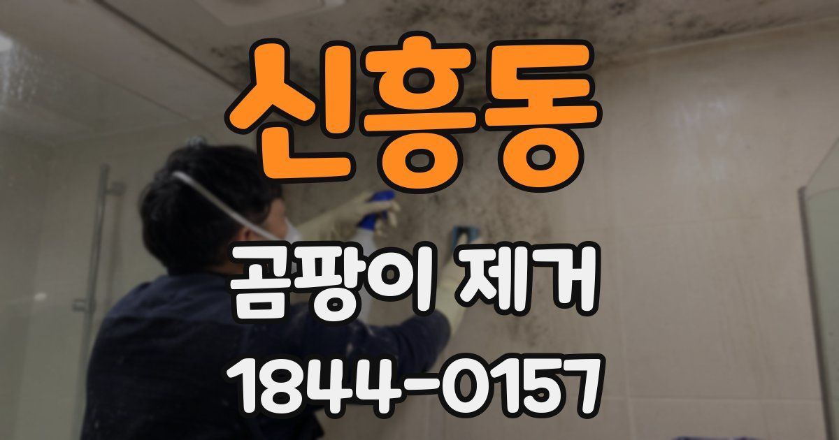 신흥동 곰팡이 제거