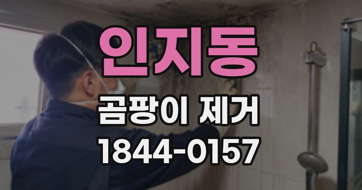 인지동 곰팡이 제거