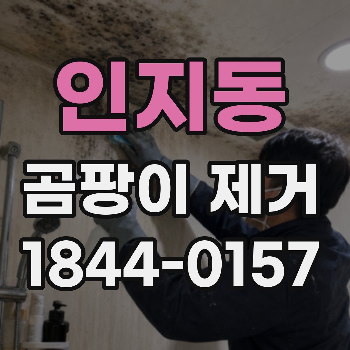 인지동 곰팡이 제거