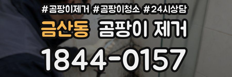 금산동 곰팡이 제거