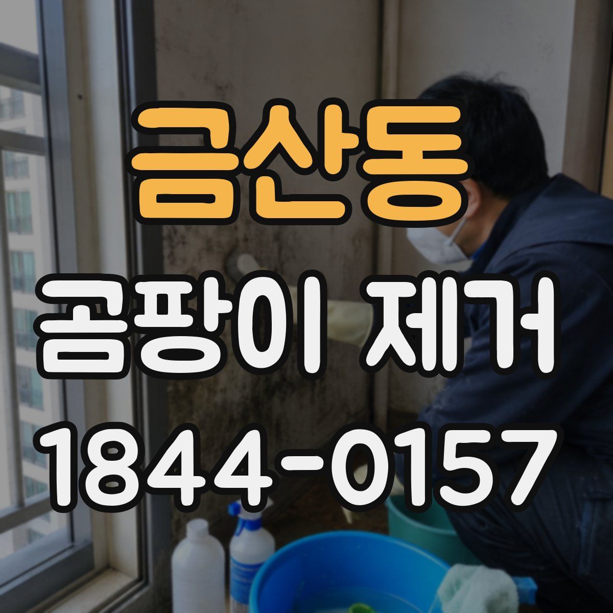 금산동 곰팡이 제거